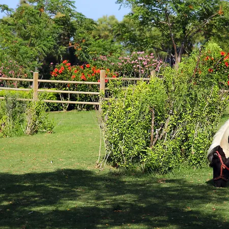 Merit Park & Casino Hotel