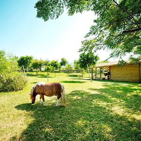 Отель Merit Park & Casino 5*