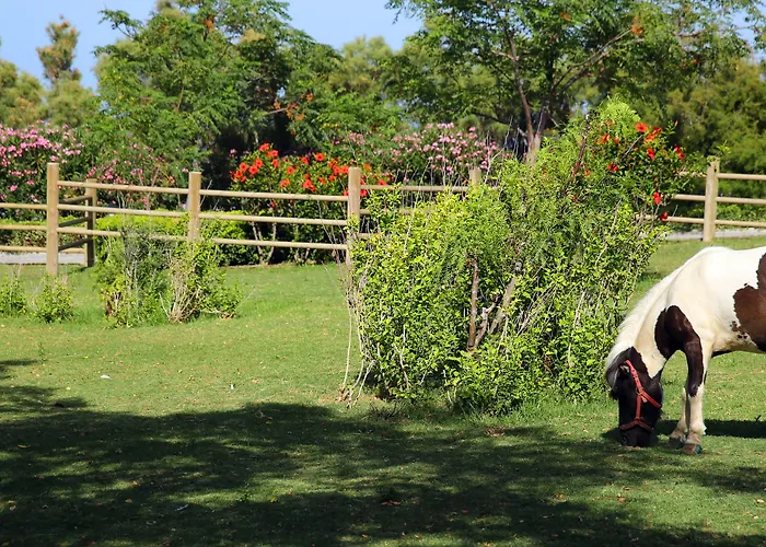 Merit Park & Casino Hotel